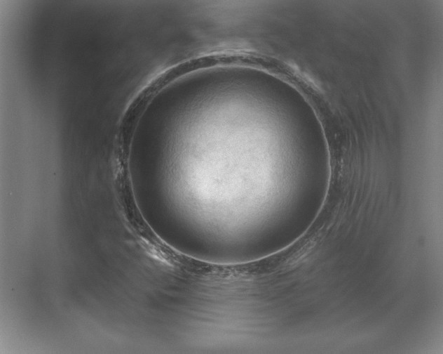 X0000071761400200607071224