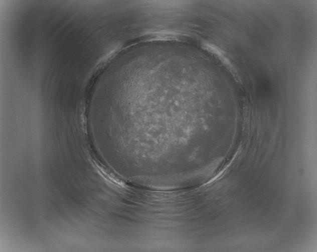 X0000071761403200607071224