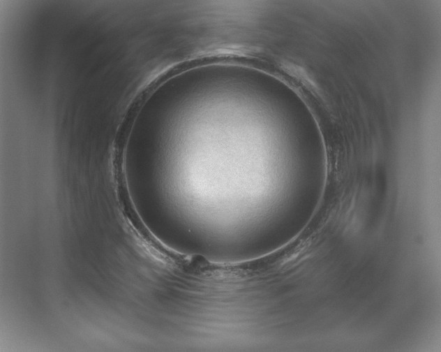 X0000071761404200607071224