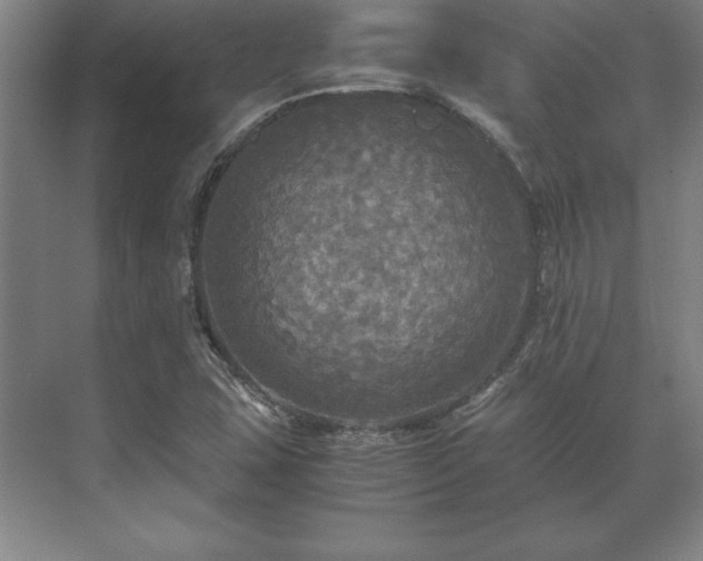 X0000071761407200607071224