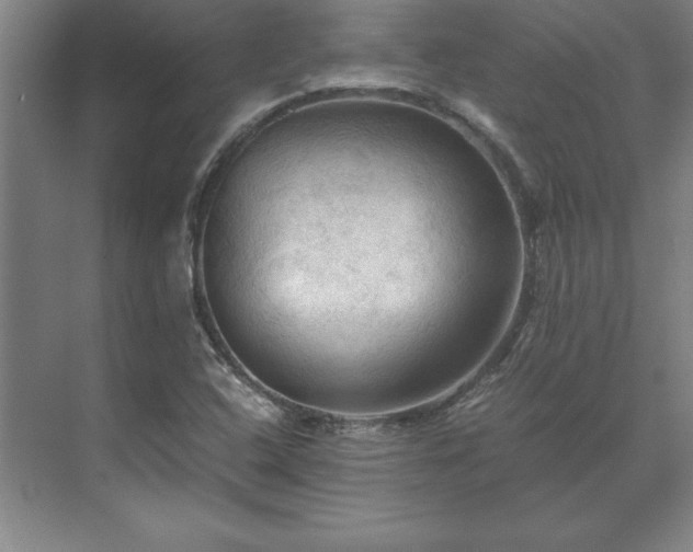 X0000071761408200607071224