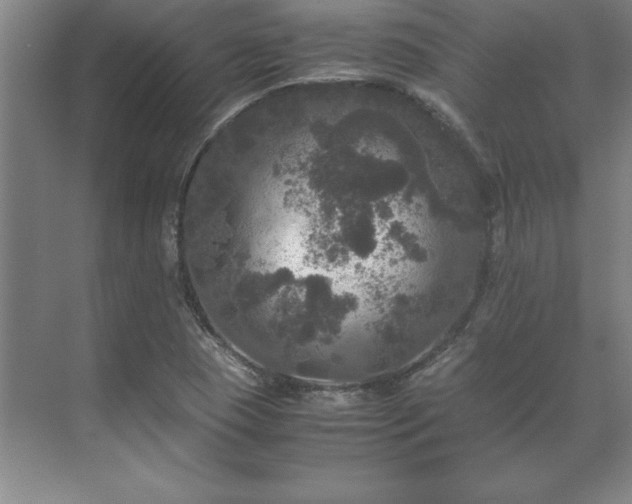 X0000071761409200607071224