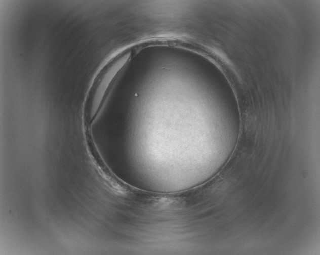 X0000071761412200607071224