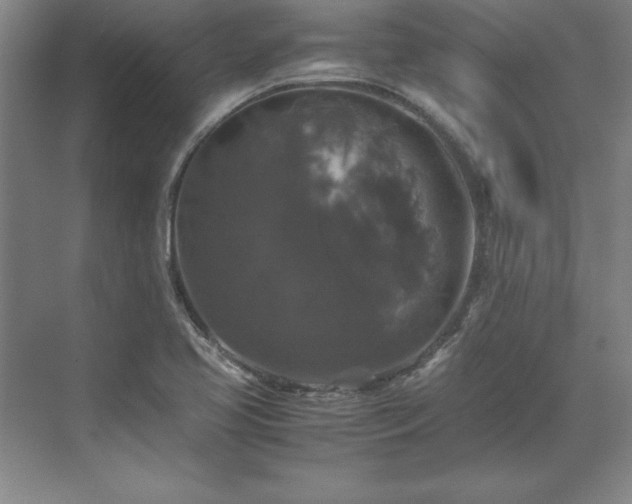 X0000071761413200607071224