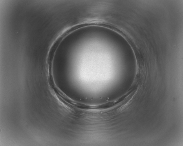 X0000071761414200607071224