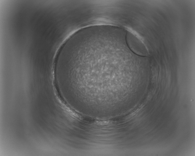 X0000071761415200607071224