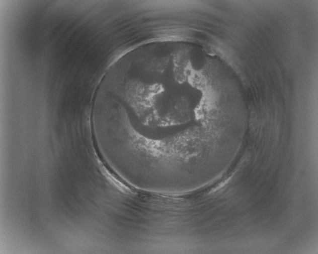 X0000071761417200607071224