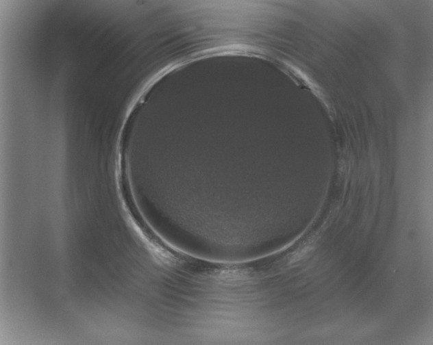 X0000071761418200607071224