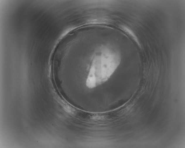 X0000071761419200607071224