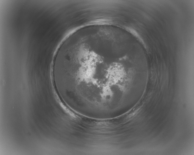 X0000071761421200607071224