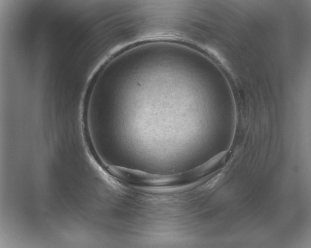 X0000071761422200607071224