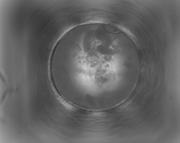 X0000071761423200607071224