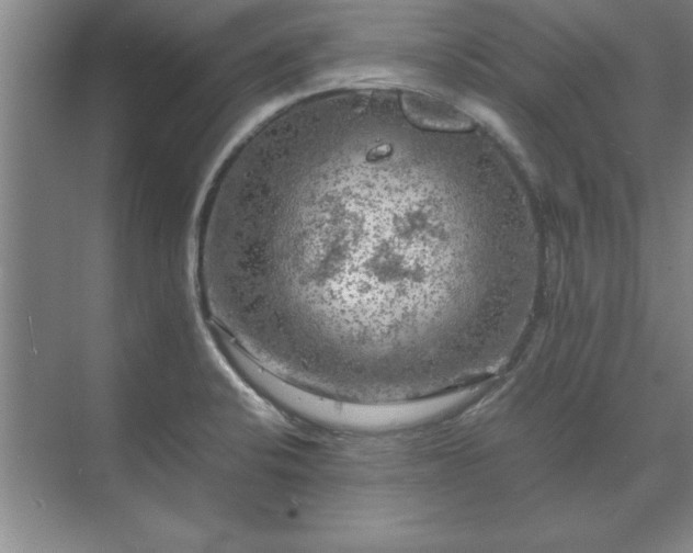 X0000071761424200607071224