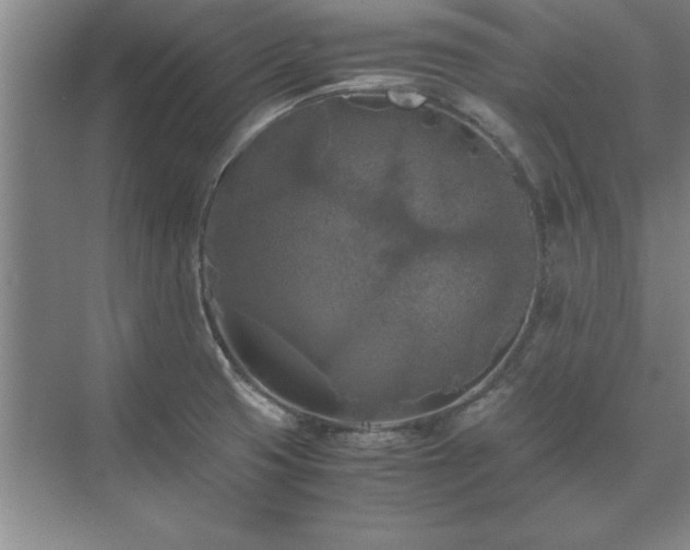 X0000071761425200607071224