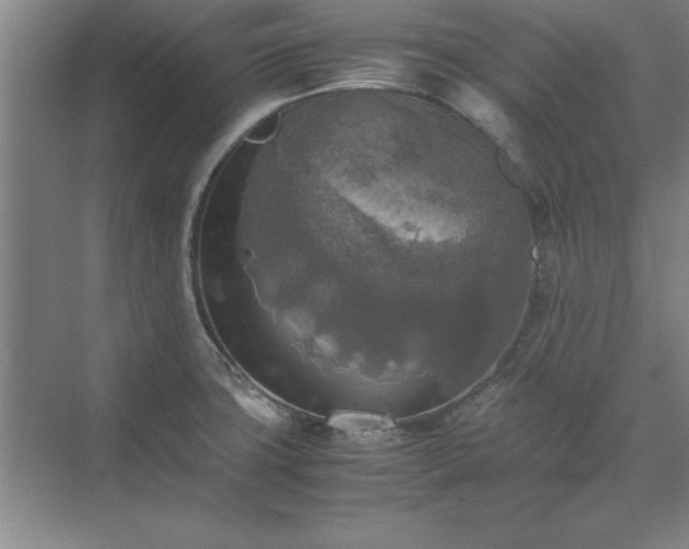 X0000071761427200607071224