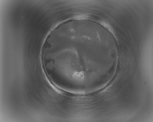 X0000071761429200607071224