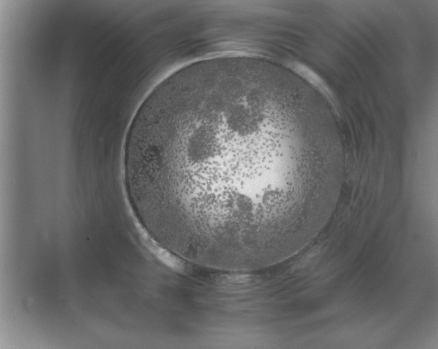 X0000071761431200607071224