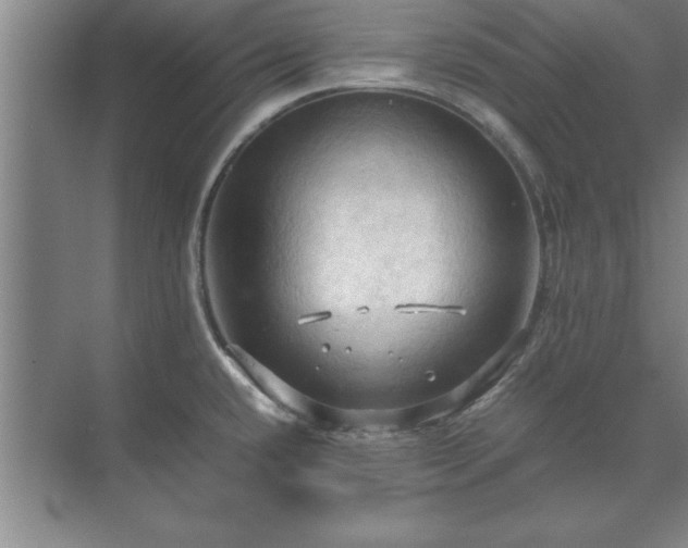 X0000071761432200607071224