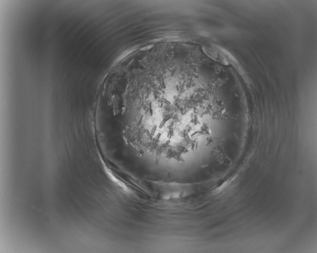 X0000071761433200607071224