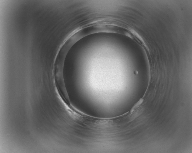 X0000071761434200607071224