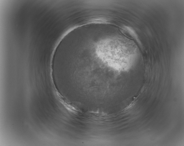 X0000071761435200607071224