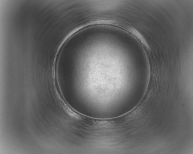 X0000071761436200607071224