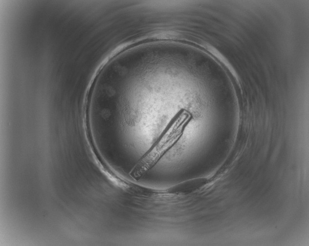 X0000071761437200607071224