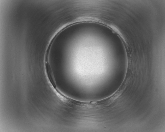 X0000071761438200607071224