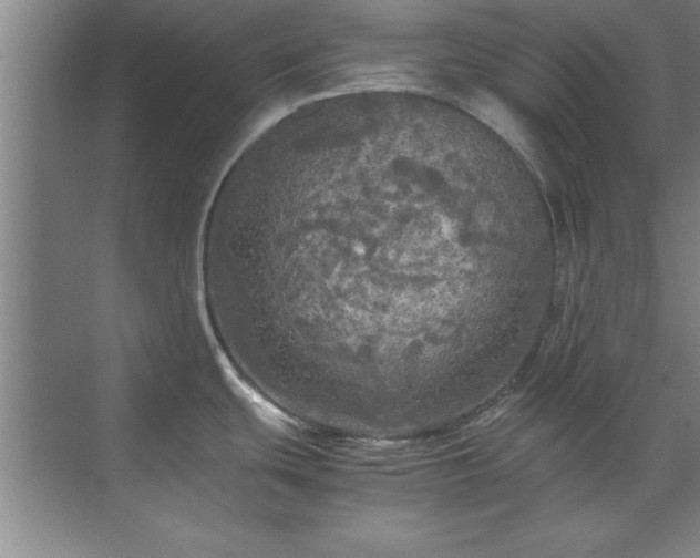 X0000071761439200607071224