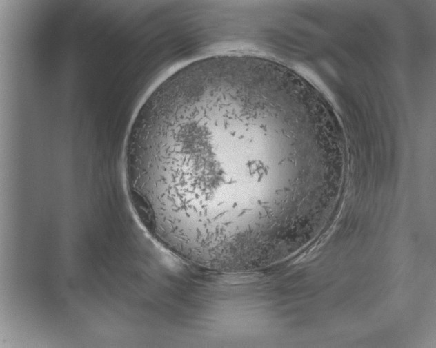 X0000071761440200607071224