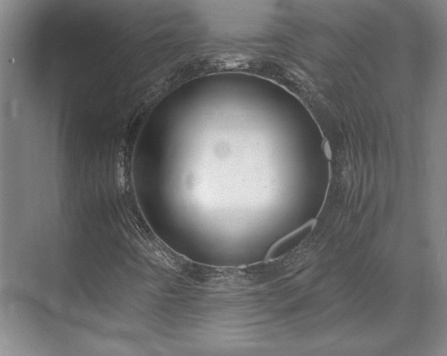 X0000071761442200607071224