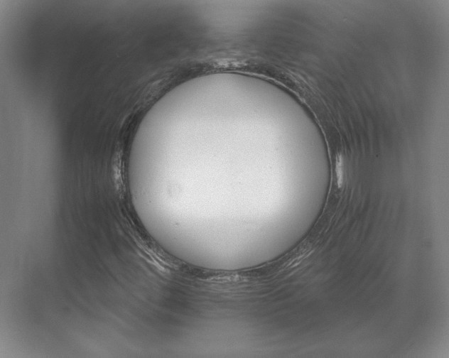 X0000071761444200607071224