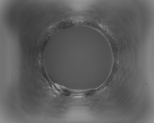 X0000071761445200607071223