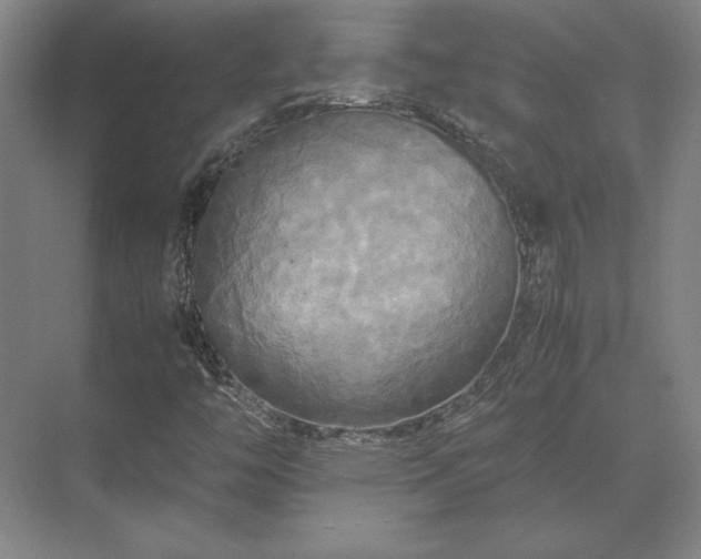 X0000071761446200607071223