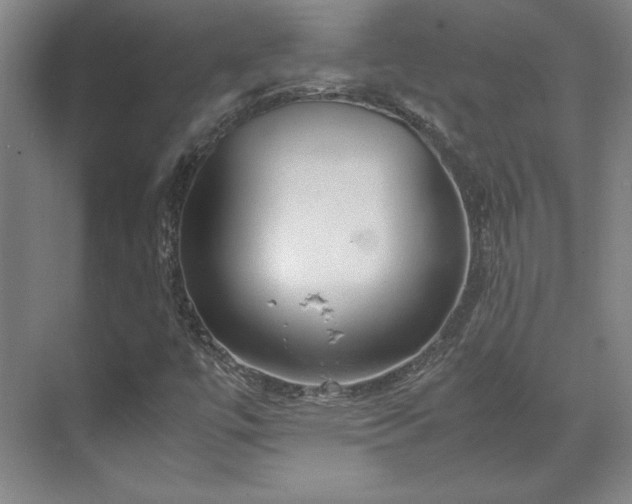 X0000071761447200607071223