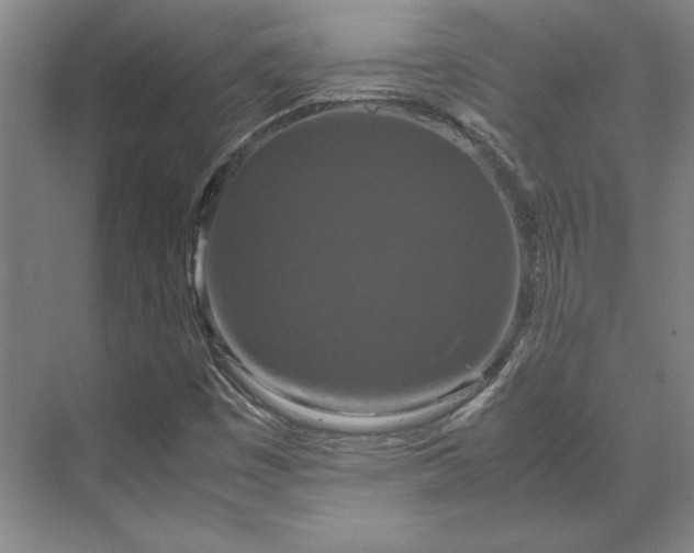 X0000071761449200607071223