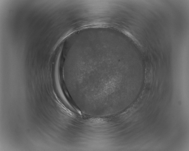 X0000071761450200607071223