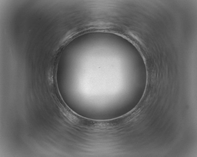 X0000071761451200607071223