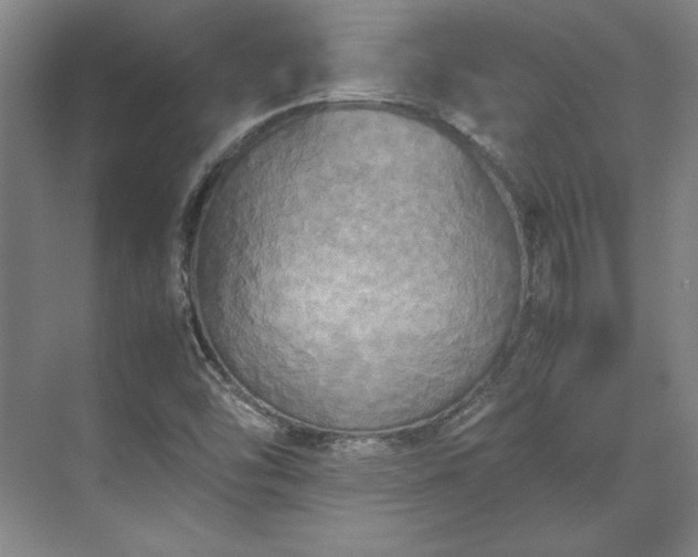 X0000071761454200607071223