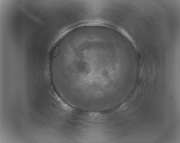 X0000071761456200607071223