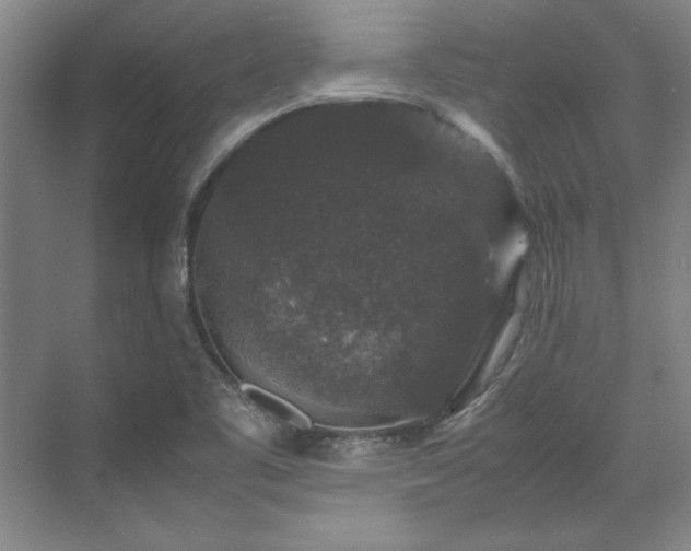 X0000071761461200607071223