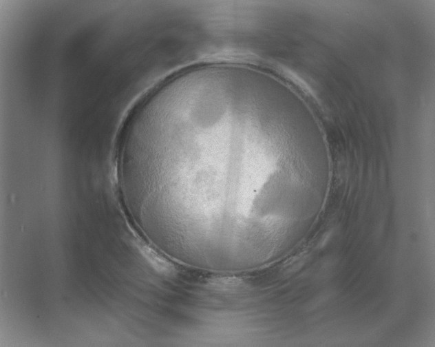 X0000071761462200607071223