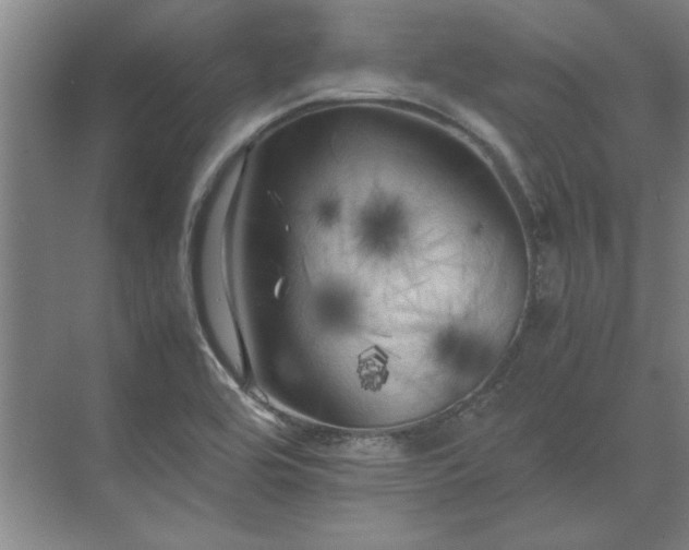 X0000071761464200607071223