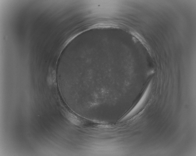 X0000071761465200607071223