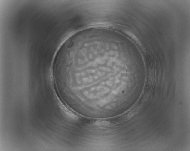 X0000071761466200607071223