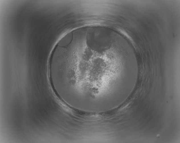 X0000071761467200607071223