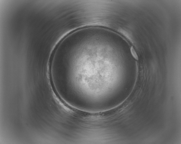 X0000071761468200607071223