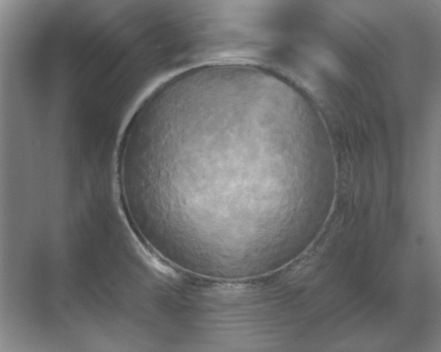 X0000071761470200607071223