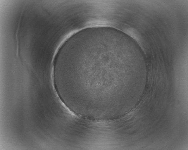 X0000071761472200607071223