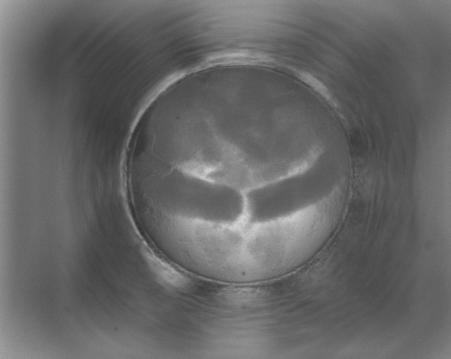 X0000071761474200607071223